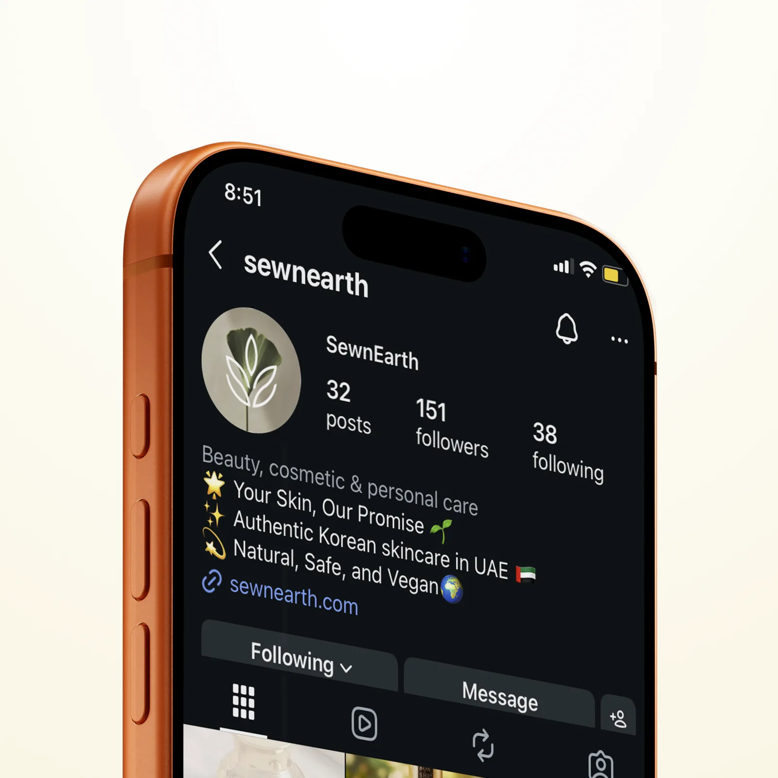 The Sewn Earth Instagram profile shown on a phone screen